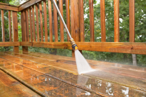 Best Residential Pressure Washing Services  in Camden, AL